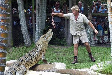 La cámara del naturalista australiano grabó su muerte atravesado por el aguijón de un pez raya ...