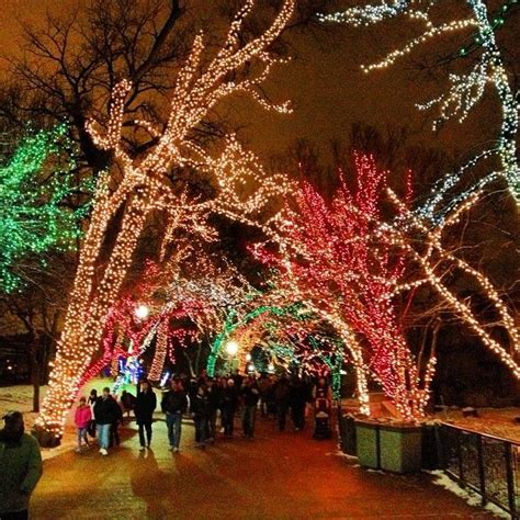 Zoo Lights - Lincoln Park - Chicago, IL | Zoo lights, Chicago holiday ...