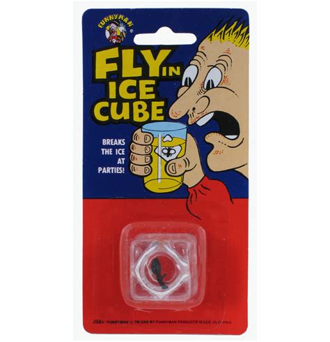 Fly in a Ice Cube Prank | Fast and Free Delivery