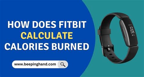 How Does Fitbit Calculate Calories Burned? (Know Everything)