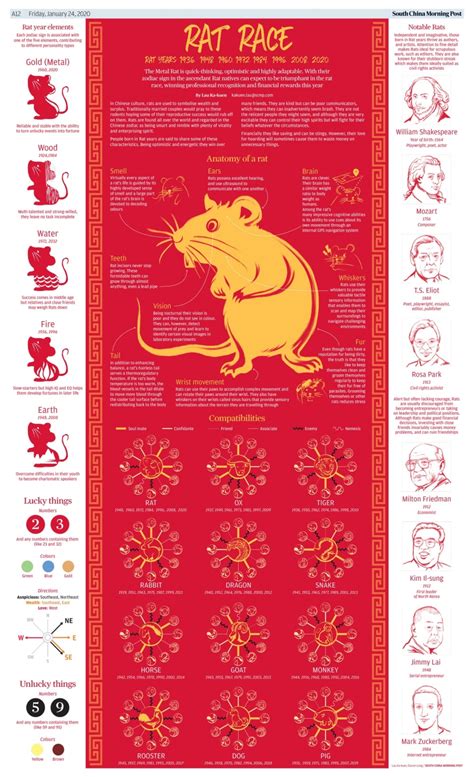 Year of the Rat Infographic | Presentational.ly