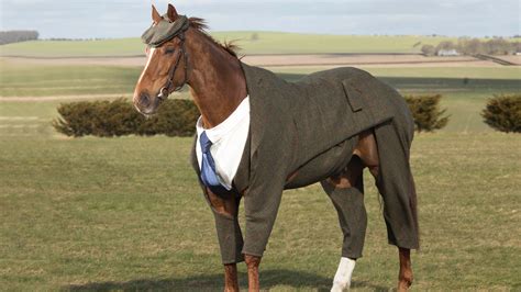 A Horse Wore A Suit Today | GQ