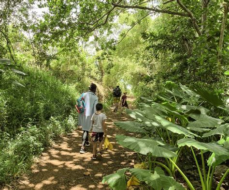 Best Hiking Trails in Mauritius: Trekking Routes to Check in 2024