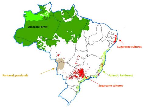 Map of sugarcane crops in Brazil. | Download Scientific Diagram