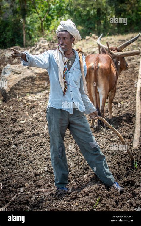 An Ethiopian farmer pointing out into his fields, Debre Berhan ...