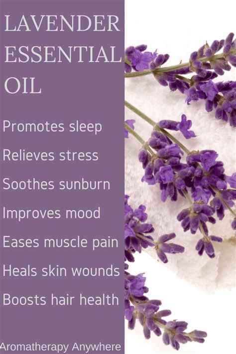 7 Awesome Benefits Of Lavender Essential Oil - Aromatherapy Anywhere