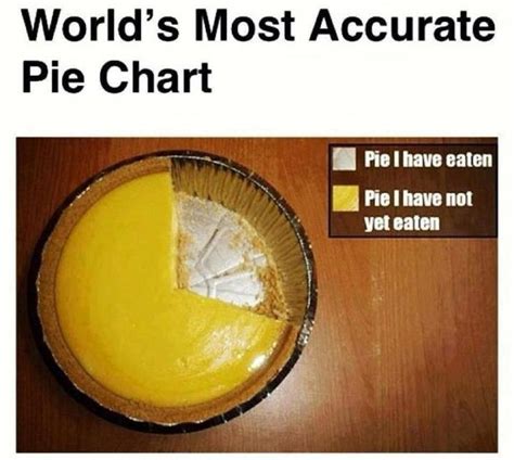 Funny Pictures, with and without Quotes or Verse. | Funny pie charts ...