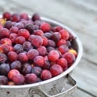 Beach Plum Jelly Recipe by - CookEatShare