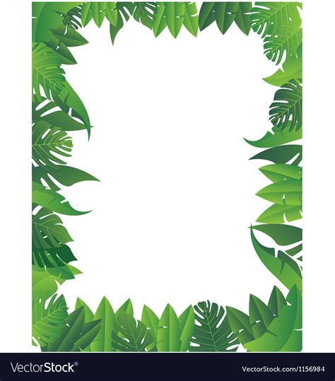 Tropical leaf background Royalty Free Vector Image