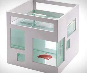 Fish Hotel Aquariums