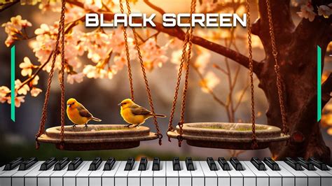 Black Screen Relaxing Piano Music, Swing Set Sounds With Birds Chirping ...