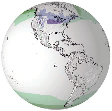 What Are the Settings of Mid-Latitude Climates?