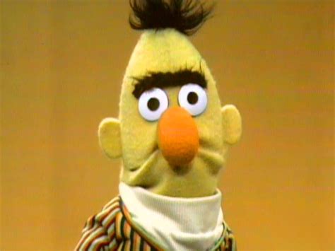 Bert Through the Years - Muppet Wiki