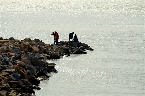 Jetty Free Stock Photo - Public Domain Pictures