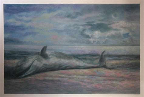 Beached Whale Drawing by Paez Antonio - Fine Art America