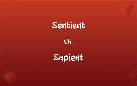 Sentient vs. Sapient: What’s the Difference?