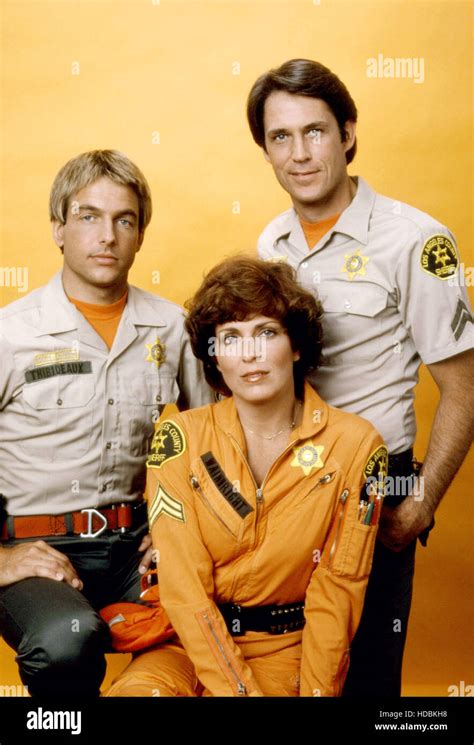 240-ROBERT, Mark Harmon, Joanna Cassidy, John Bennett Perry, 1979-81 ...