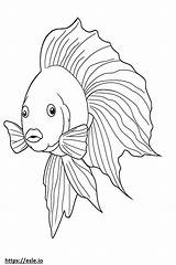 Betta Fish Siamese Fighting Cute coloring Page sketch template