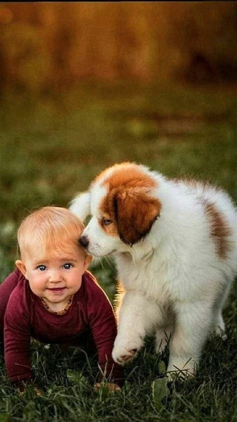 cuestión de fé, cuestión de amor...: Fotos in 2022 | Dogs and kids, Animals friendship, Baby animals