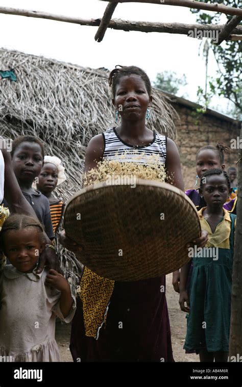 Woman Sieving Rice Sierra Leone Stock Photo - Alamy