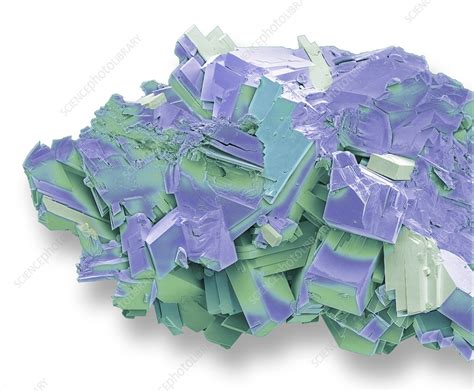 Calcium carbonate crystals, SEM - Stock Image - C058/0790 - Science Photo Library