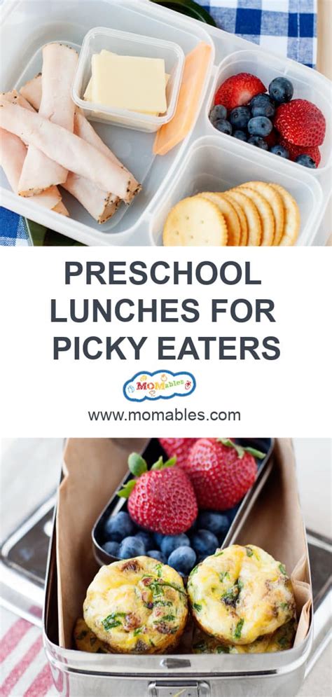 Healthy Preschool Lunch Ideas For Picky Eaters - MOMables