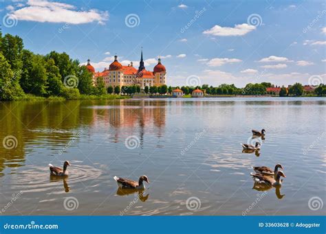 Moritzburg Castle pond stock photo. Image of baroque - 33603628