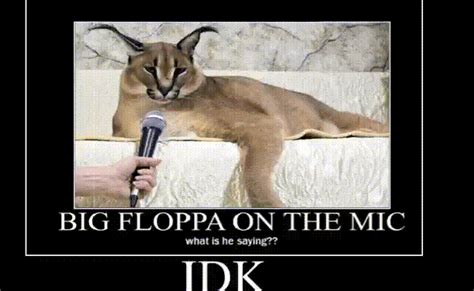 Big Floppa Gif Big Floppa Know Your Meme – Otosection