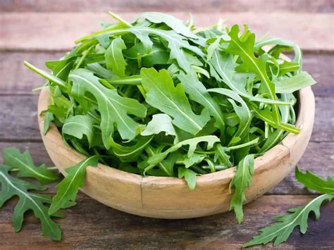 Rocket vs Arugula - The Ultimate Guide!