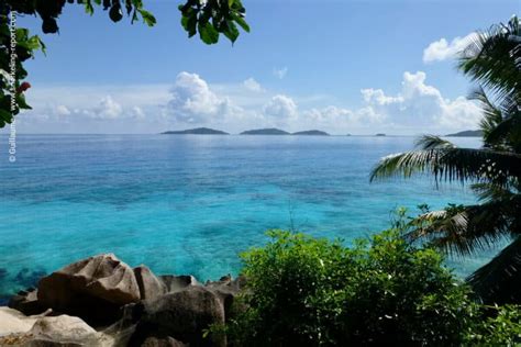 Snorkeling Seychelles | A Guide to the Best Spots | Snorkeling Report