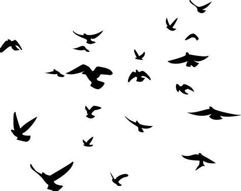 🔥 [72+] Bird Silhouette Wallpapers | WallpaperSafari