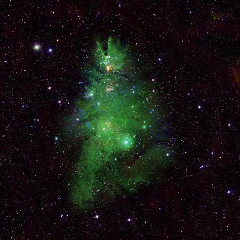 NASA unveils cosmic Christmas tree in new photo ahead of the festival | Technology News - The ...