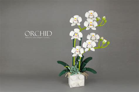 LEGO Ideas could add to Botanical Collection with an orchid