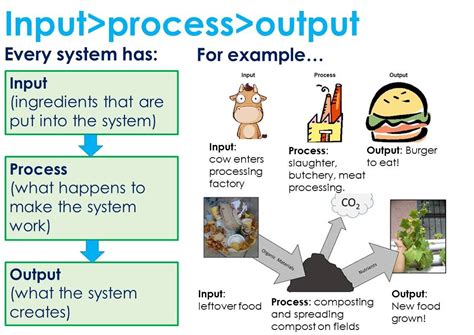 input process output | 7th grade science | Pinterest | School children and School