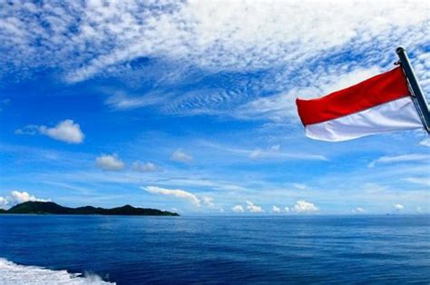 Laut Indonesia, Sumber Kekayaan Hayati Dunia - Bobo