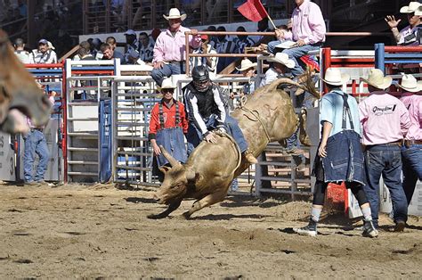 2023 Angola Prison Rodeo Returns Every Sunday in October