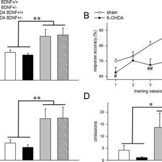 Effects of partial dopamine depletion of the striatum on visual... | Download Scientific Diagram