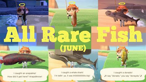 Catching ALL 13 Rare Fish [JUNE] - Animal Crossing New Horizons - YouTube