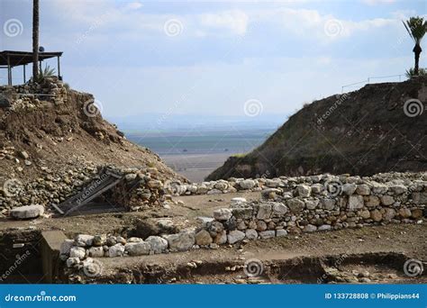 Palm Trees in Antique Megiddo Armageddon Archaeological Site, Jezreel ...