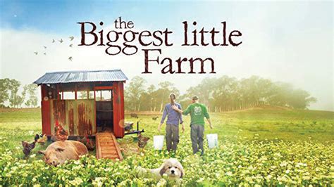 ‘The Biggest Little Farm’ documentary demonstrates need for ethical and sustainable farming ...