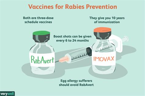 How Rabies Is Treated (2023)