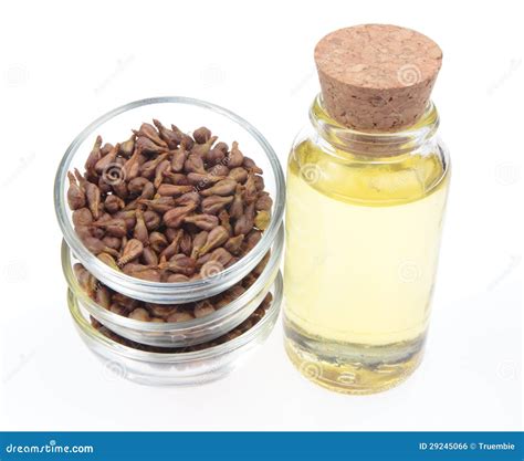 Grape seed oil stock photo. Image of antiaging, closeup - 29245066