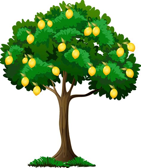 Lemon Tree Images