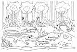 50  Crocodile Coloring Pages Free Printable PDF & Online sketch template