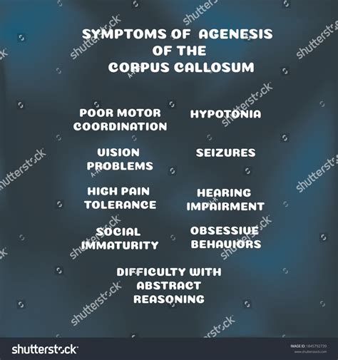 Symptoms Agenesis Corpus Callosum Vector Illustration Stock Vector ...