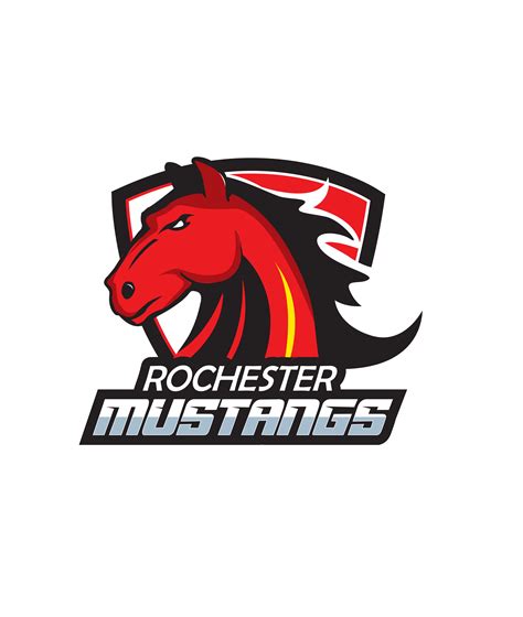 Rochester MN Youth Hockey