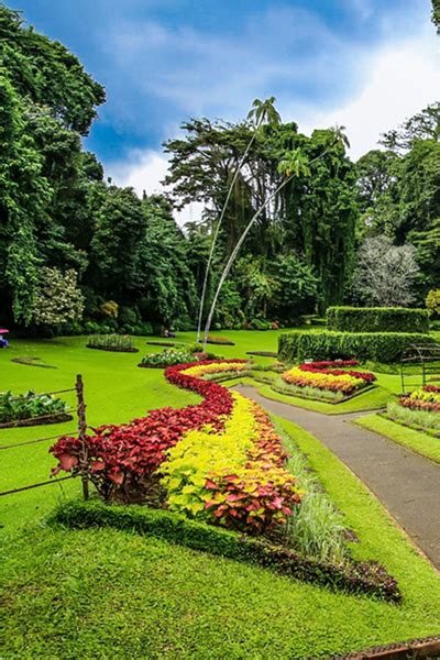 Botanical Gardens Paradise - The Winchester Resort