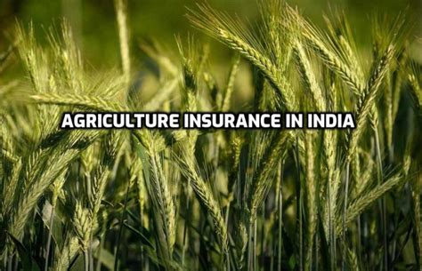 Agri Insurance Schemes In India - A Full Guide | Agri Farming