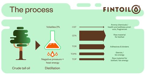 Fintoil gets green light for crude tall oil biorefinery in the Port of HaminaKotka | Bioenergy ...