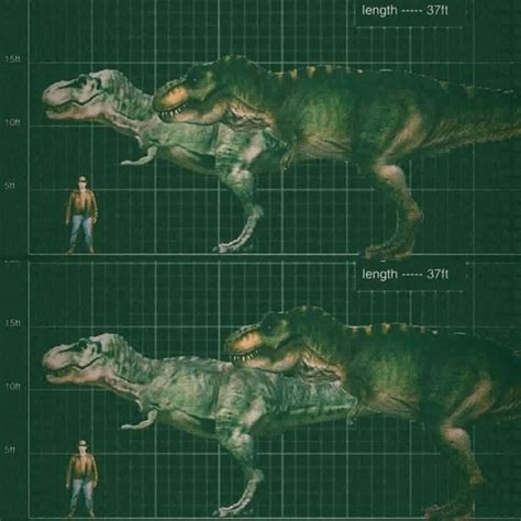 Bull vs Buck size comparison | Animais pré-históricos, Pré história, Dinossauros